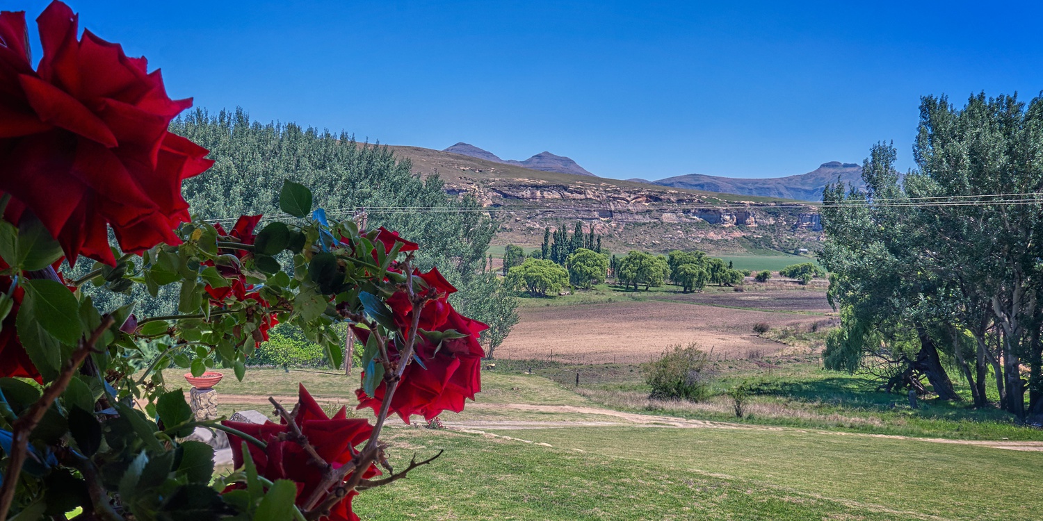 linwoodfarm.co.za-clarens-accommodation-linwwod-guest-farm-view-from-the-stoep